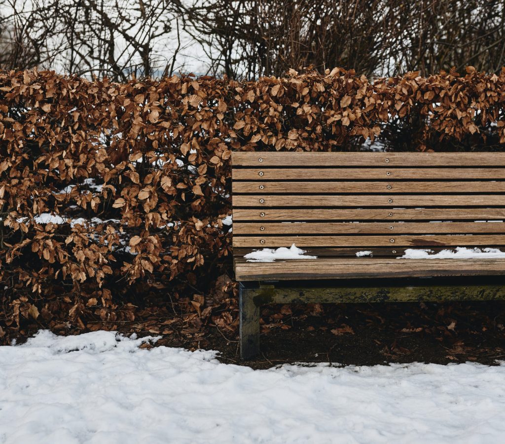 a brown bench outdoors in snow